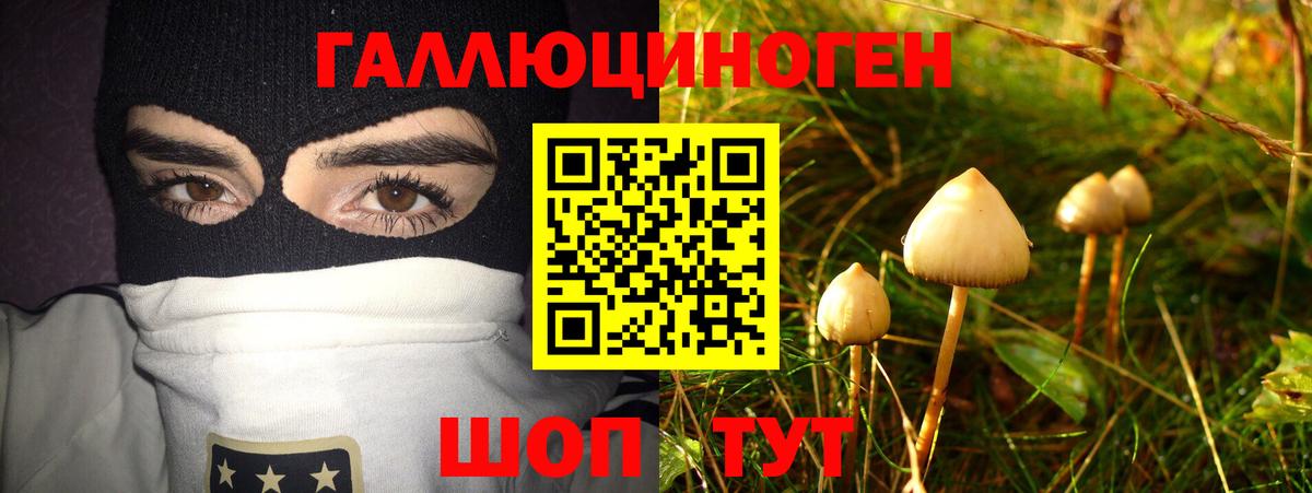 Псилоцибиновые грибы Cubensis  Галлюциногенные грибы ЛСД  Вход с VPN  Нижний Новгород 